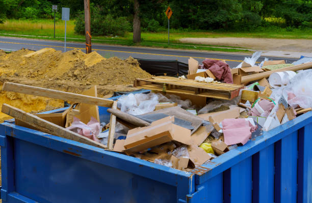 Best Basement Cleanout Services  in Lake Mary Jane, FL